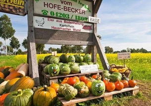 借鑒國外經驗，破解農產品滯銷難題