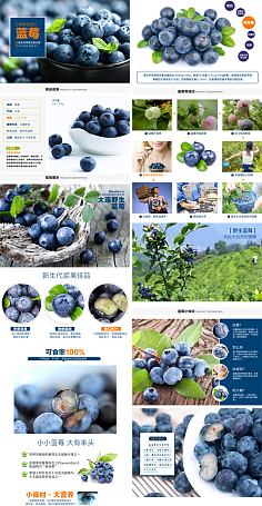 農資與農產品 現代農業發展的雙輪驅動